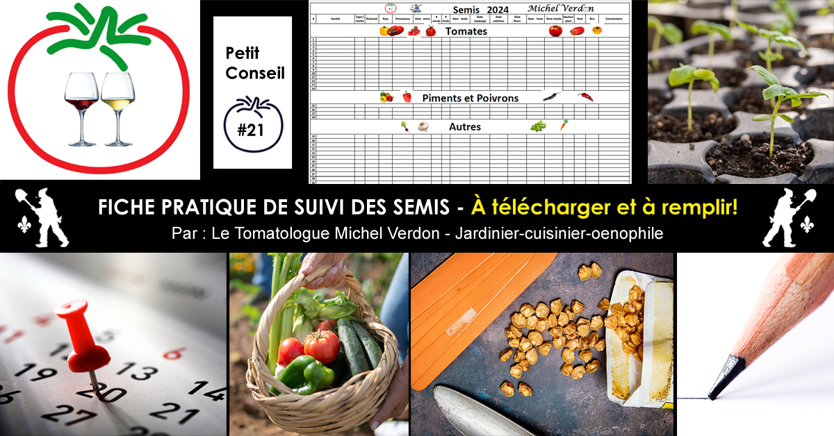 Fiche pratique de suivi des semis