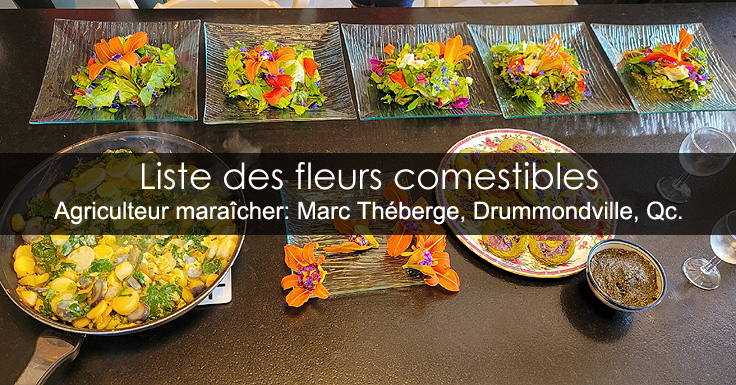 fleurs comestibles