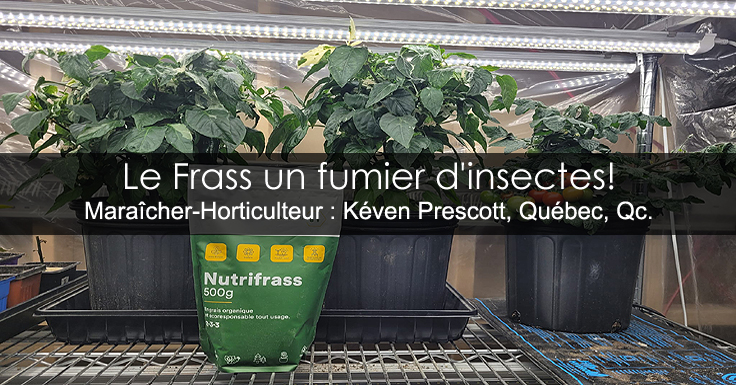 Le Frass un fumier ou engrais d'insectes rempli de chitine