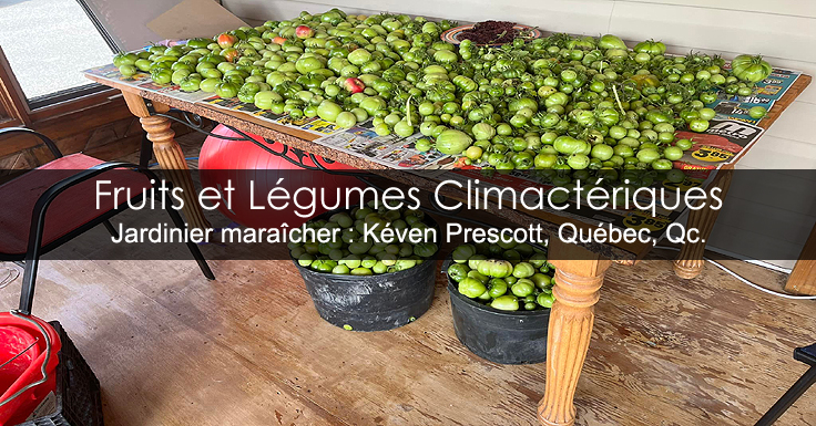 Fruits légumes climactériques