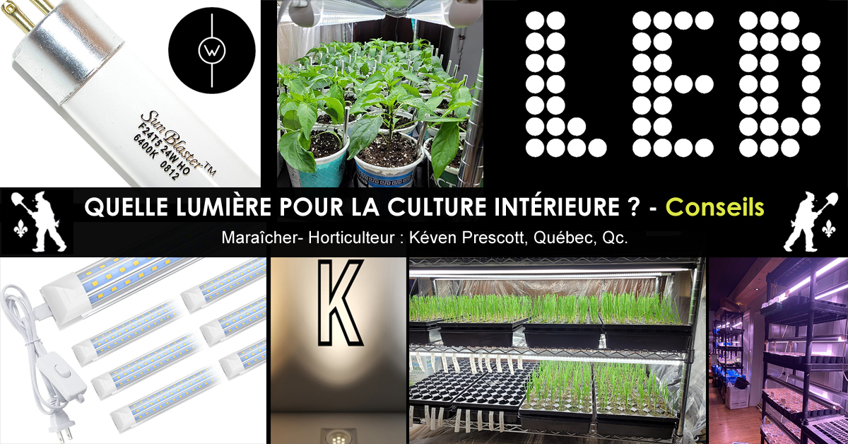 Lumières de culture