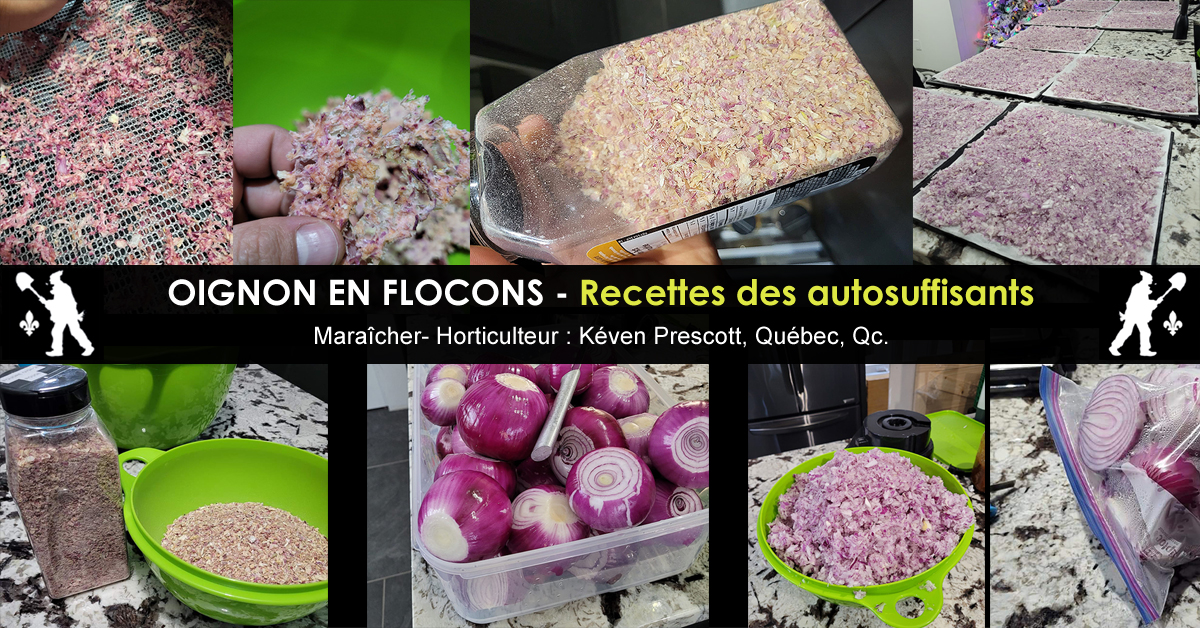 Oignon en flocons