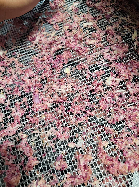 Oignon haché déshydraté