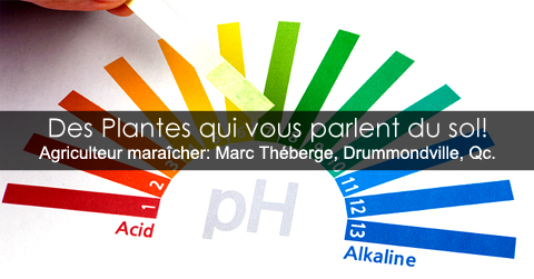 Plantes bio-indicatrices