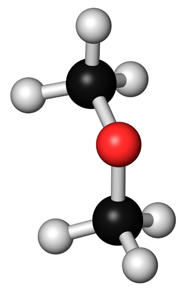 La composition chimique des plantes