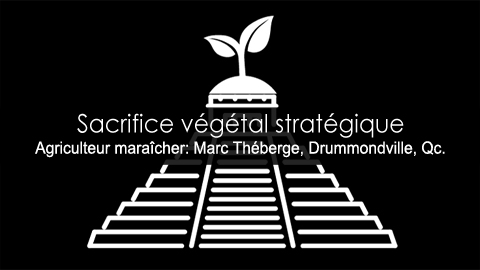 Sacrifier des plantes pour en sauver d'autres