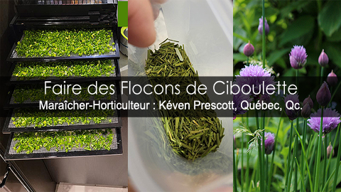 Ciboulette en flocons