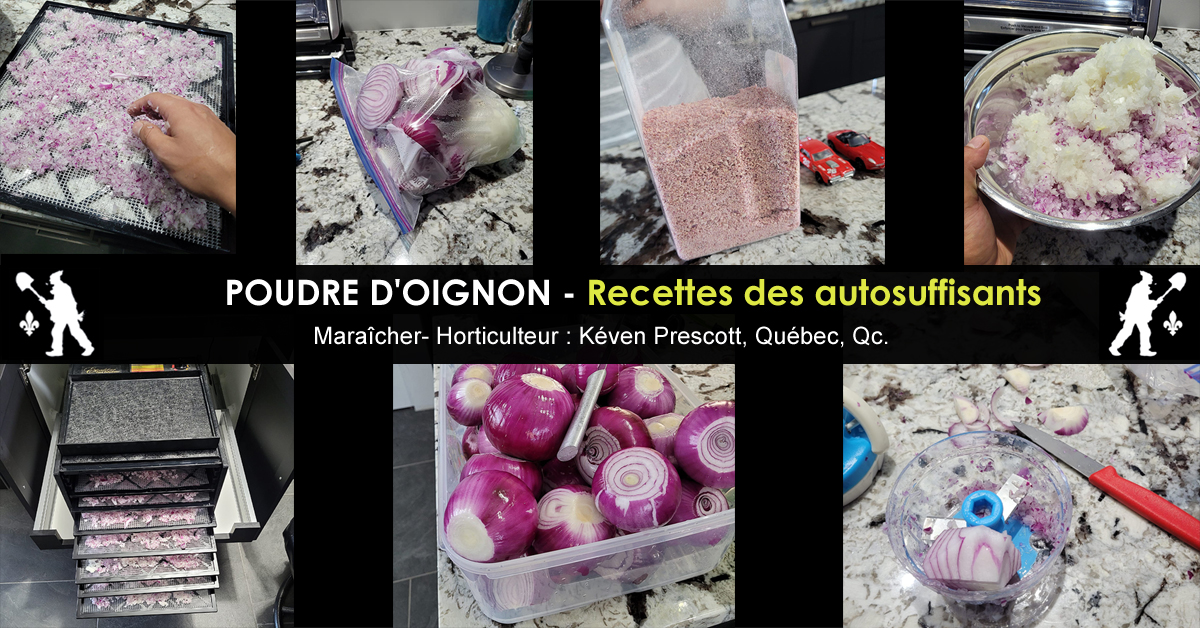 Poudre d'oignon