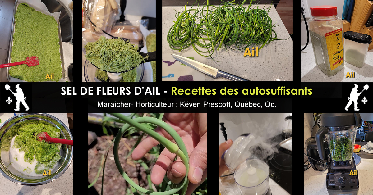 Sel de fleurs d'ail