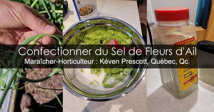 Sel de fleurs d'ail