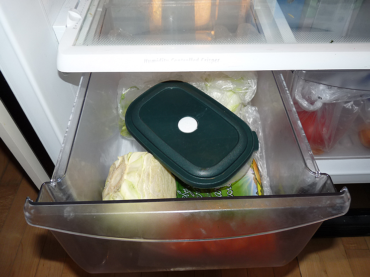 Réfigérateur pour reproduire la période de froid dans la nature