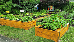 Articles sur les structures extérieures et la décoration