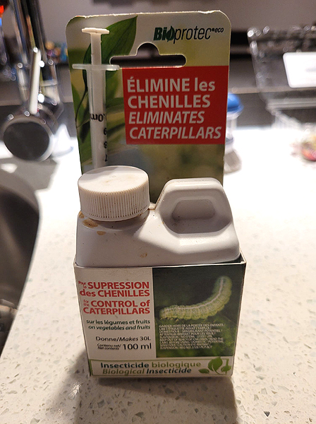 Traitement Teigne du poireau