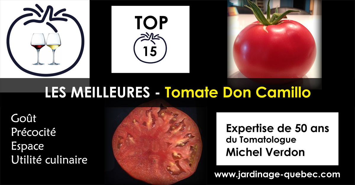 Tomate Don Camillo