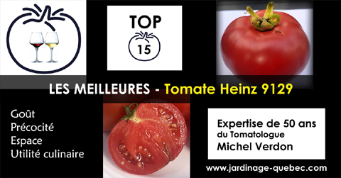 Tomate Heinz H9129