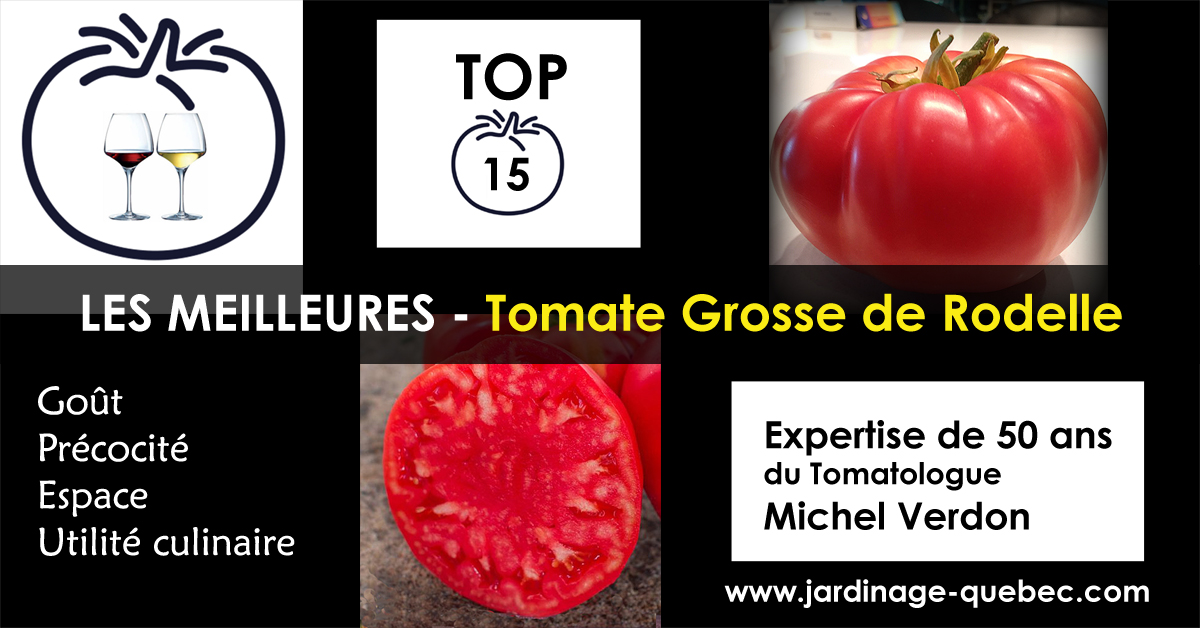 Tomate Grosse de Rodelle