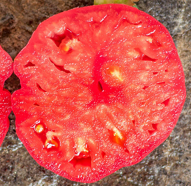 Tomate Grosse des Marais