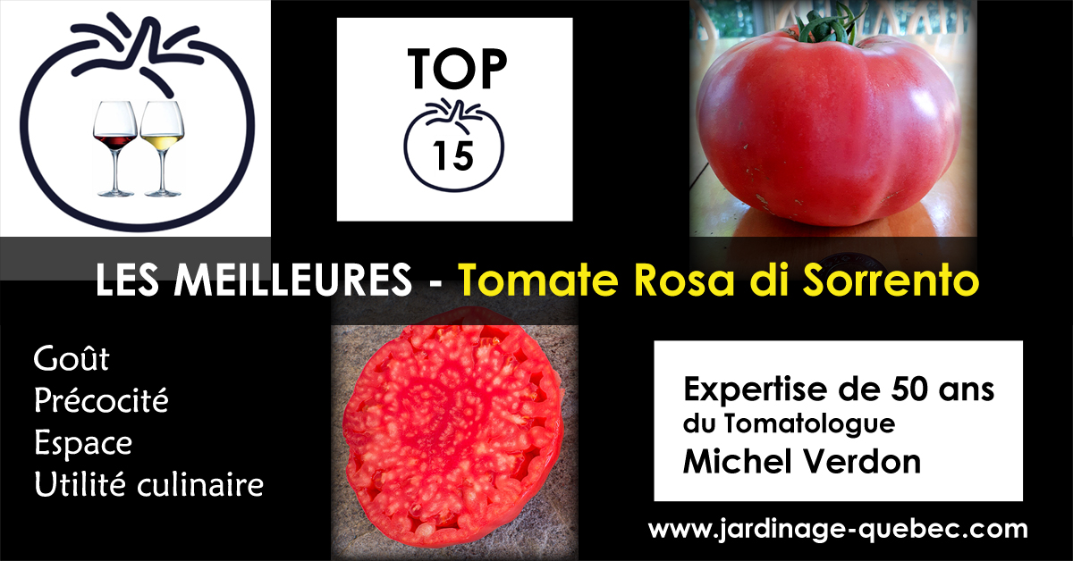 Tomate Rosa di Sorrento