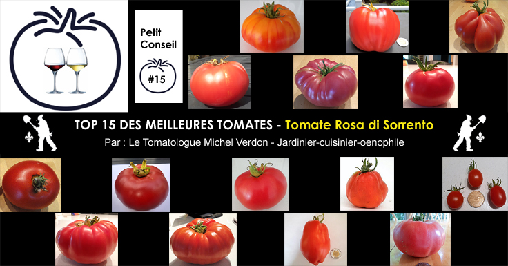 Tomate Rosa di Sorrento