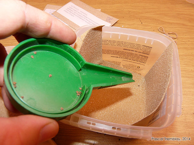 Faciliter la germination par scarification des graines - Scarifier les semences