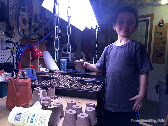 Comment semer des graines de tomates - Semis tomates