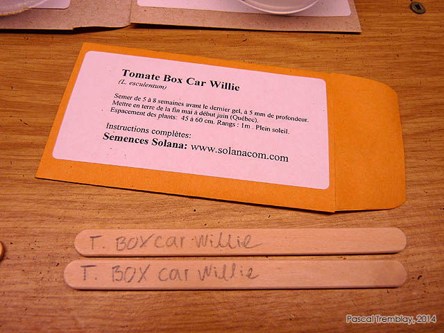 Solana - Semences Solana - Tomate Box Car Willie - Identification tomate