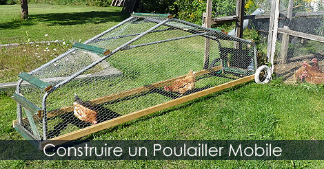 Poulailler sur roues - Construire un tracteur à poules ou poulaillier mobile - Étapes de construction d'un poulailler sur roues