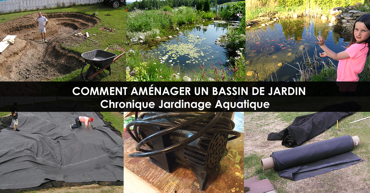 Bassin aquatique