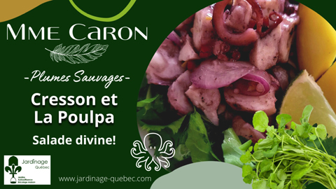 Salade de cresson et de pieuvre