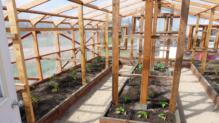 Aménager des bacs de culture en bois surélevés dans une serre