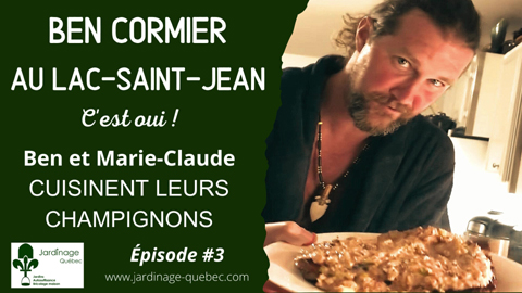 Faire cuire des champignons