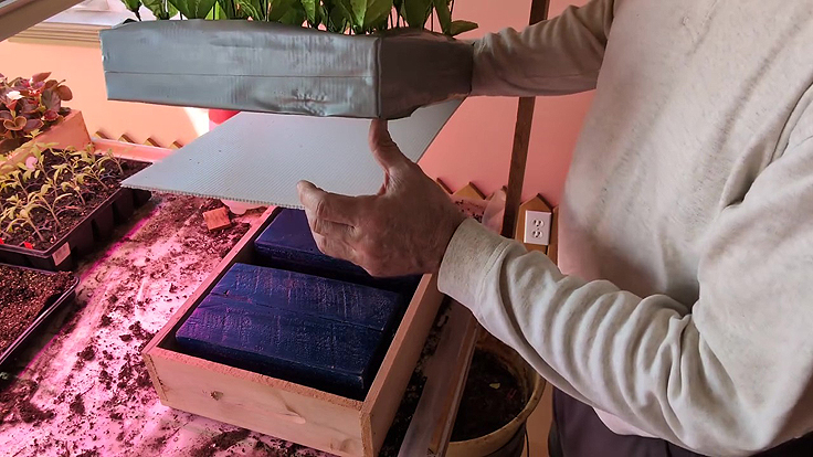 Caissette de repiquage écologique avec fond amovible