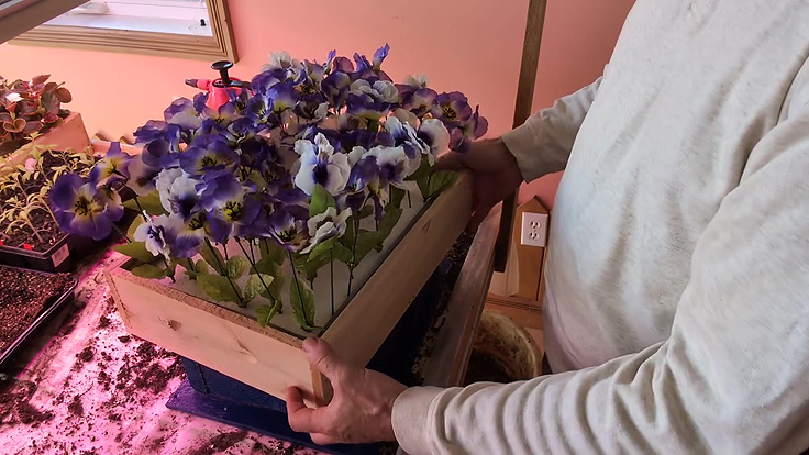 Un outil qui facilite l’extraction des plants