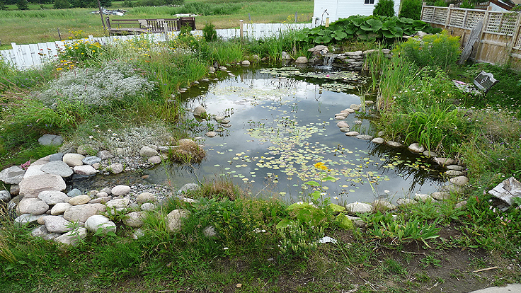 Intégration de la cascade en pierre au bassin de jardin