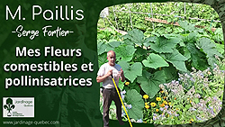 Fleurs comestibles et pollinisatrices