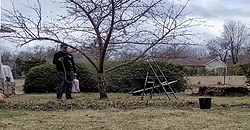 Protéger les pommiers