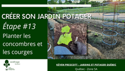 Jardin Potager - Plantation des concombres et des courges