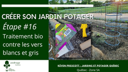 Jardin Potager - Les nématodes