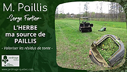 Paillis d'herbe