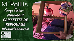 Caissette de repiquage écologique avec fond amovible pour semis faciles