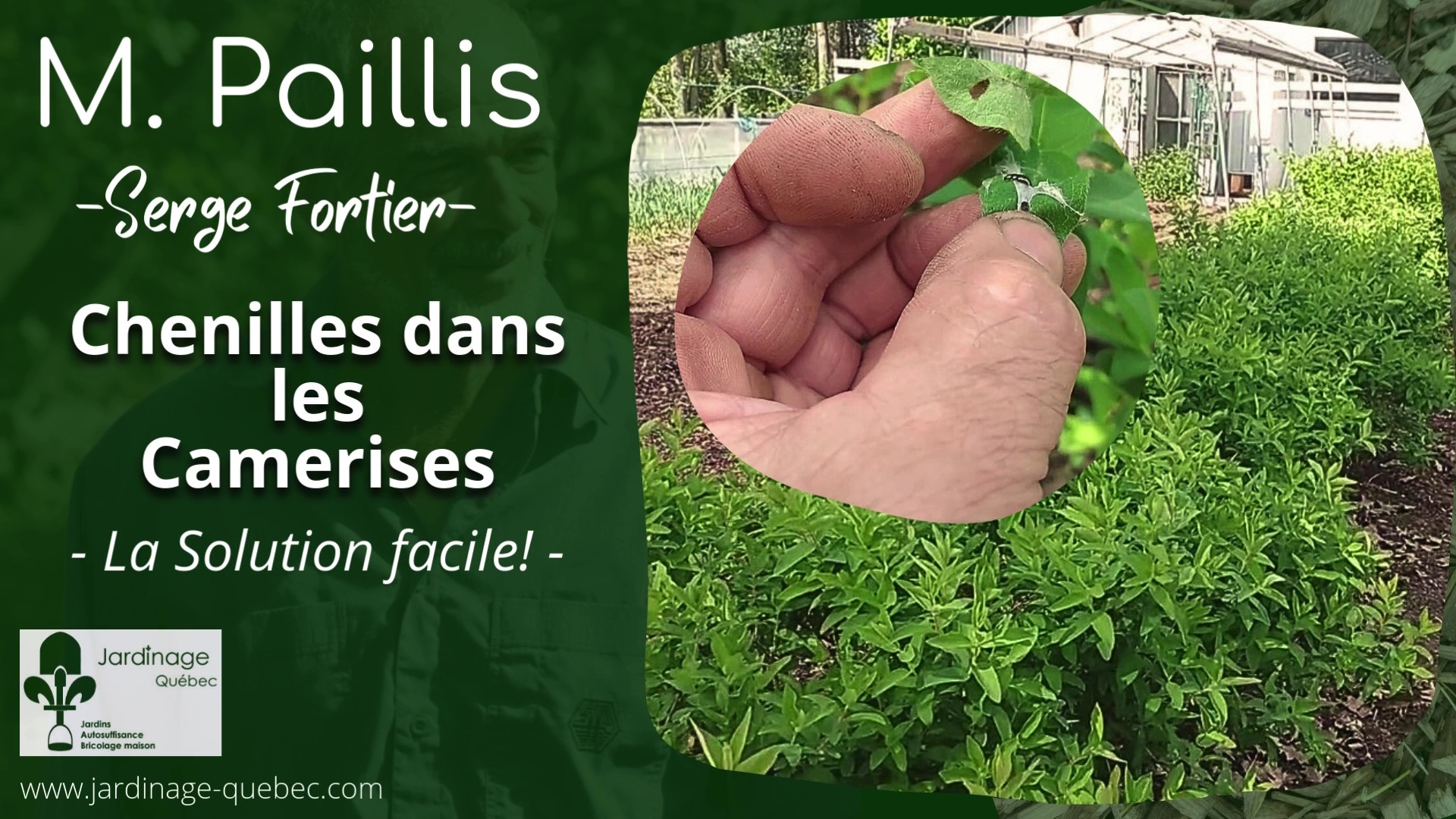 Camerisiers