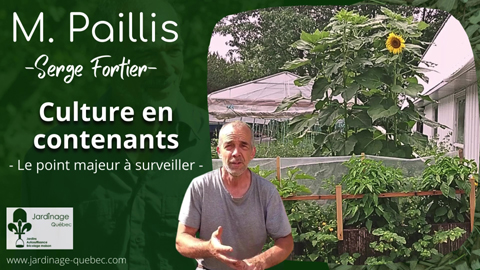 Cultures en contenants - Le facteur de réussite