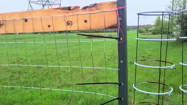 Grillage fixé à une planche et aux poteaux en T