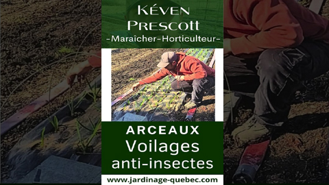 Installer des arceaux anti-insectes efficacement pour protéger ail, oignons et poireaux