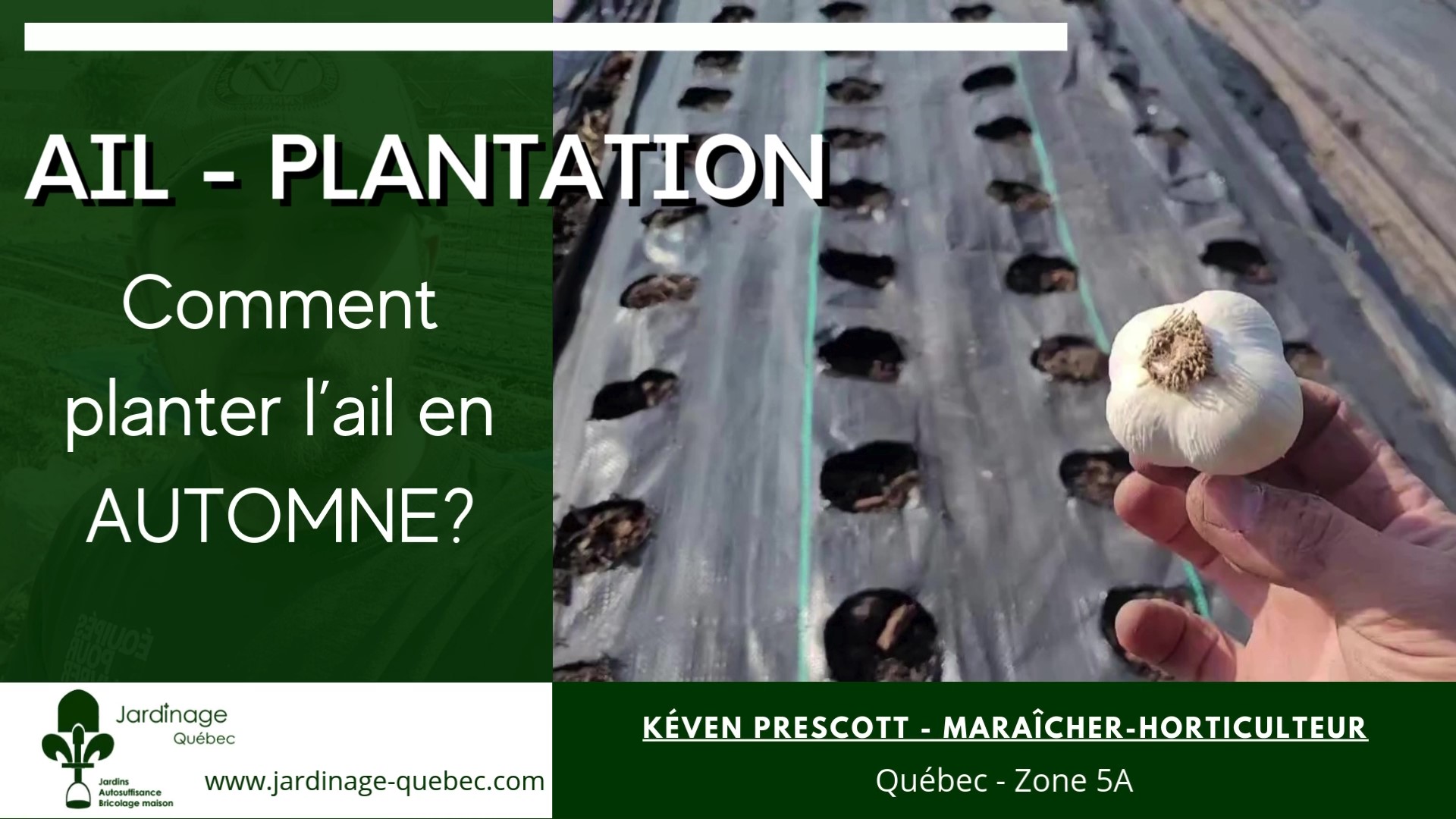 Comment planter l'ail