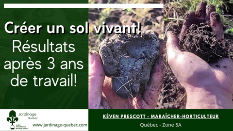 Créer un sol vivant - Résultats après 3 ans