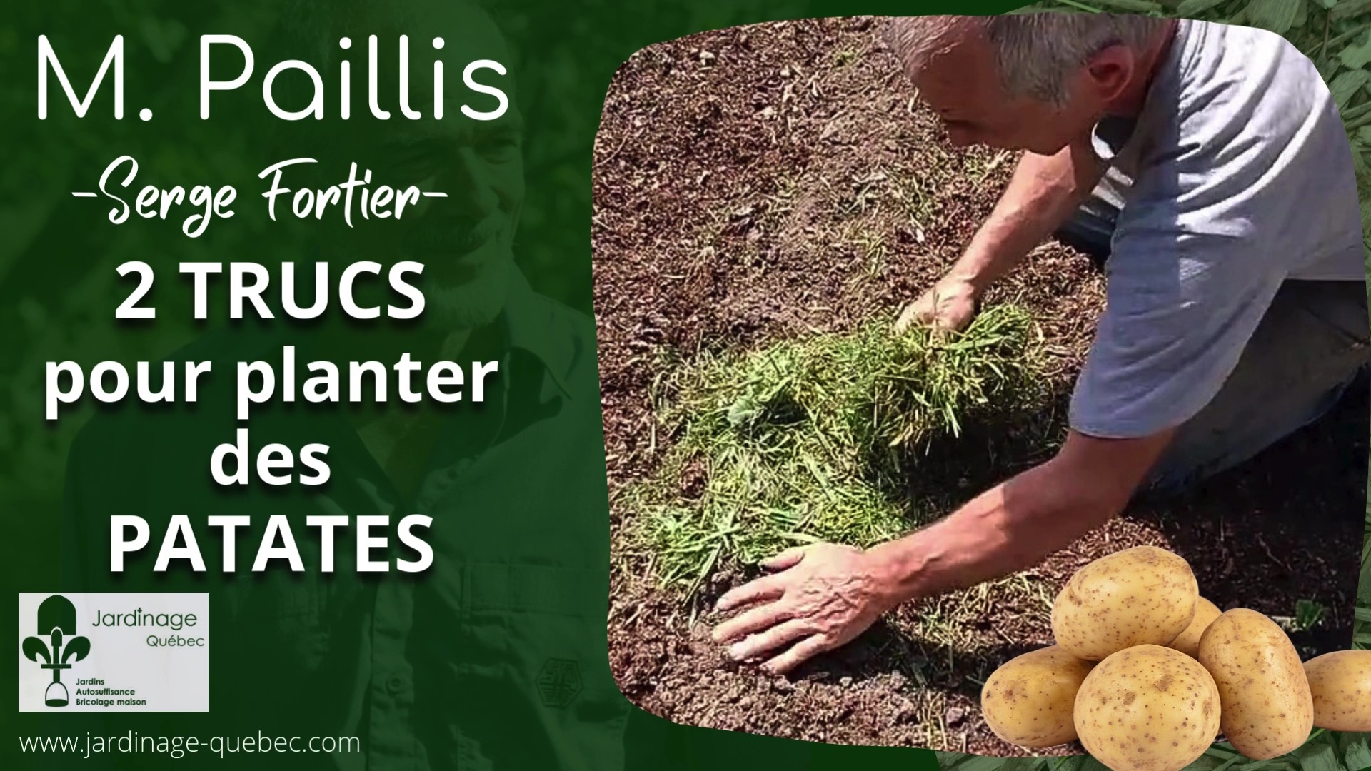 Comment planter les pommes de terre sans buttage