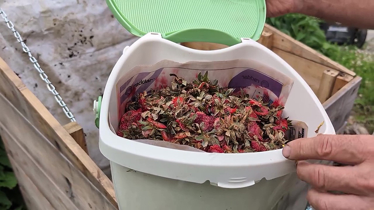 Bac domestique avec résidus congelés