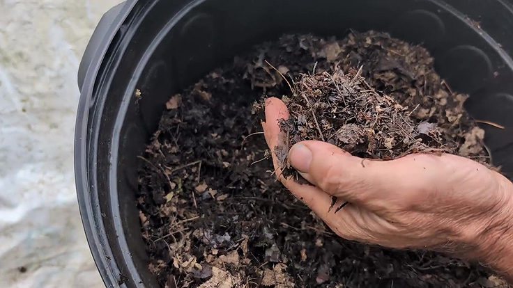 Ajout de feuilles compostées au compost