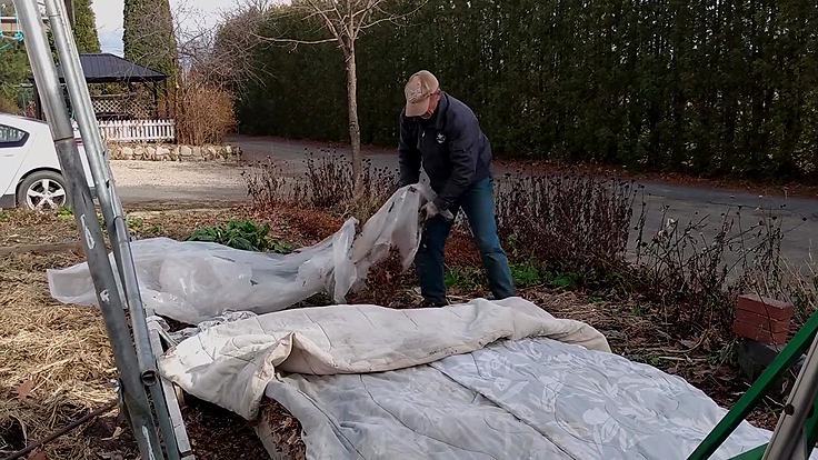 Conserver les légumes à l'extérieur